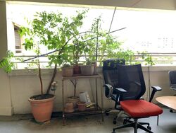 Blk 231 Yishun Street 21 (Yishun), HDB 4 Rooms #438643741